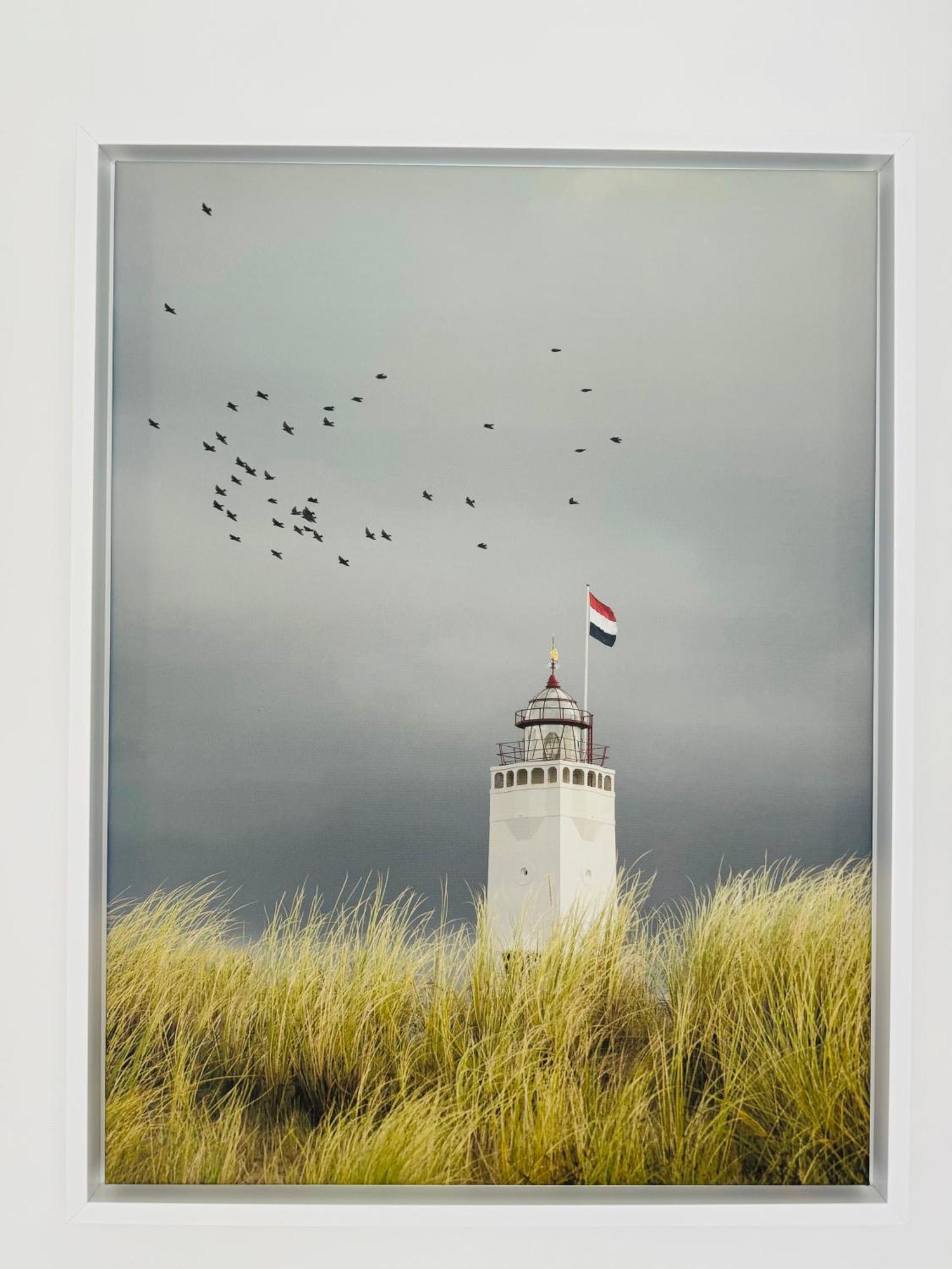 Familie Vakantiehuis - Zonneweelde Noordwijk Exterior foto
